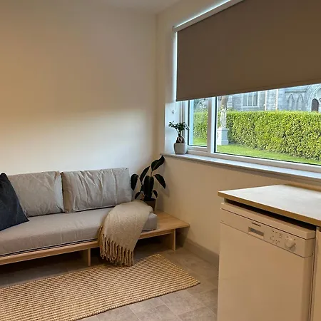 Iec Campus Lägenhet Cork