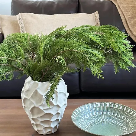 アパート Iec Campus コーク