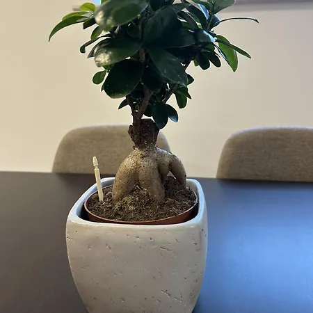 Apartment Iec Campus *