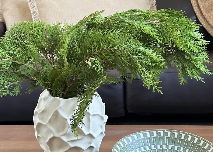 Apartman Iec Campus Cork