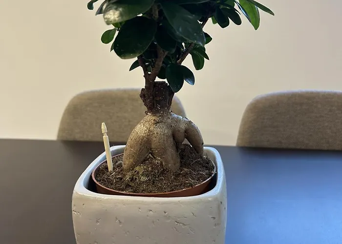 Apartman Iec Campus *