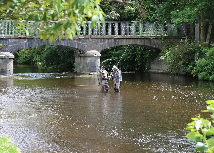 Apartman Iec Campus Cork